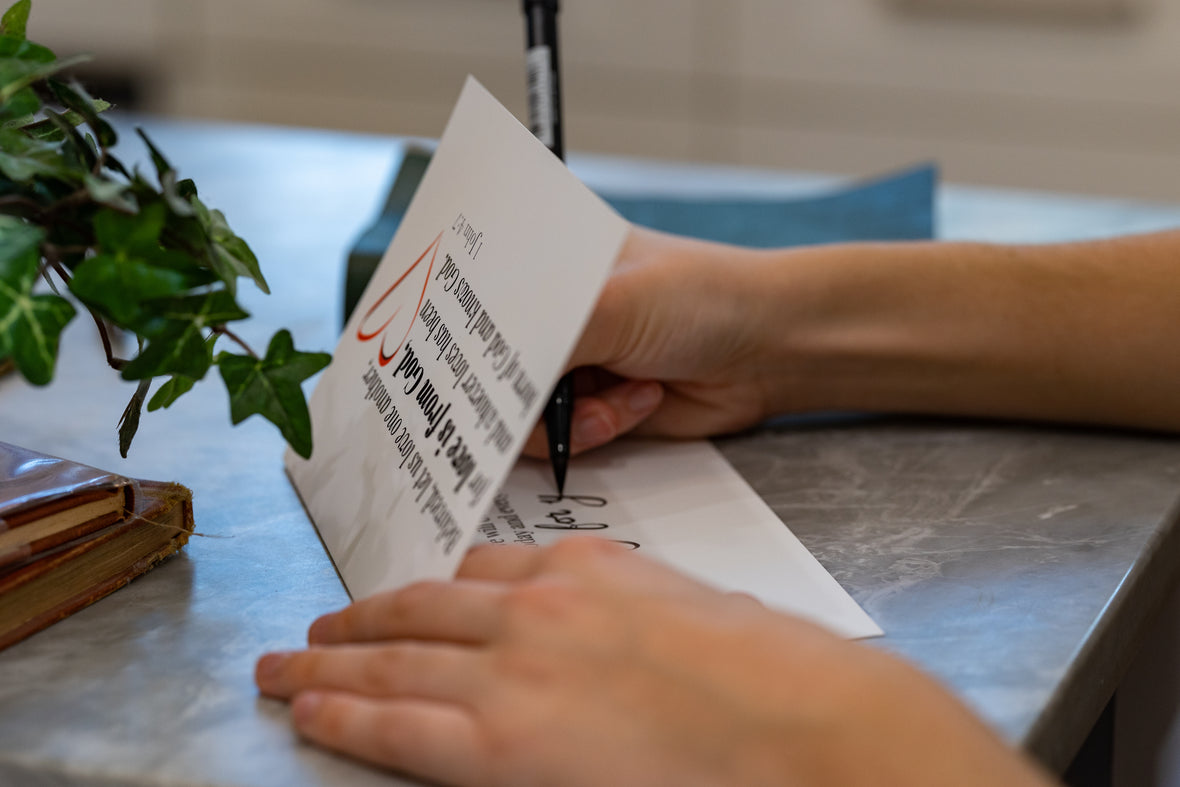 Introducing Lavender Finch