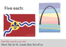 Saint Louis Flag-3