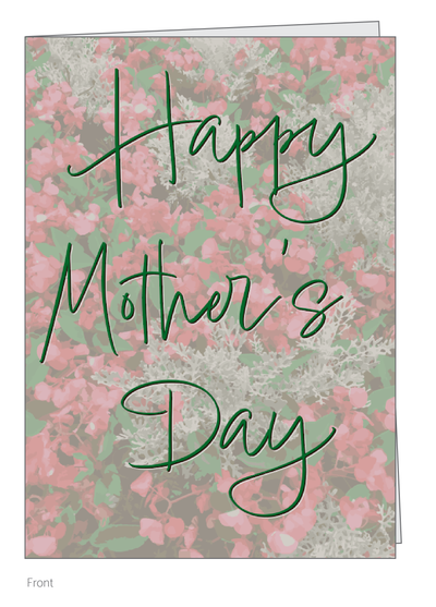 Mother's Day Begonias