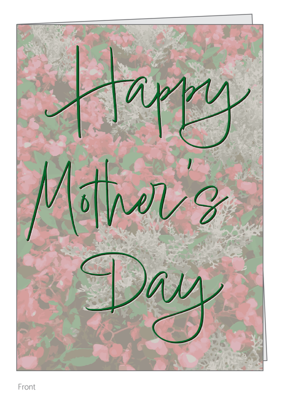 Mother's Day Begonias