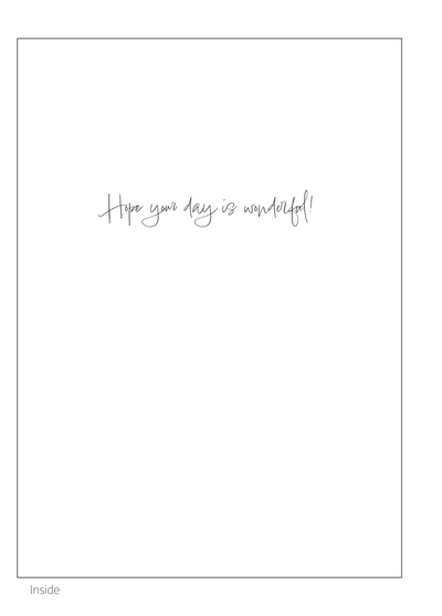 Mother's Day Begonias - 0