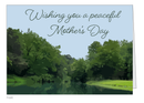 Peaceful Mother's Day-1