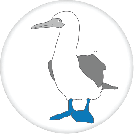 Blue-Footed Booby Button