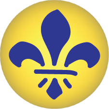Fleur de Lis Button