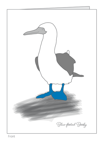 Galapagos Favorites Box Set of 10 - 0