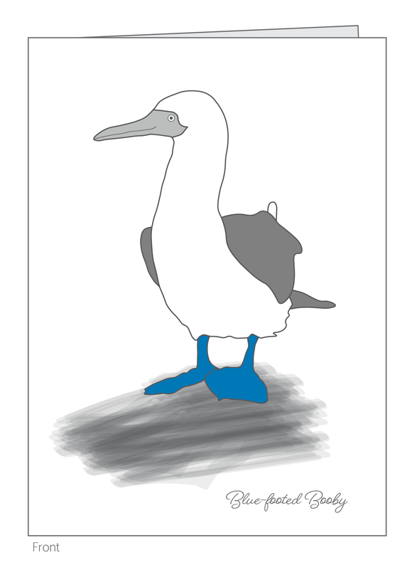 Galapagos Favorites Box Set of 10